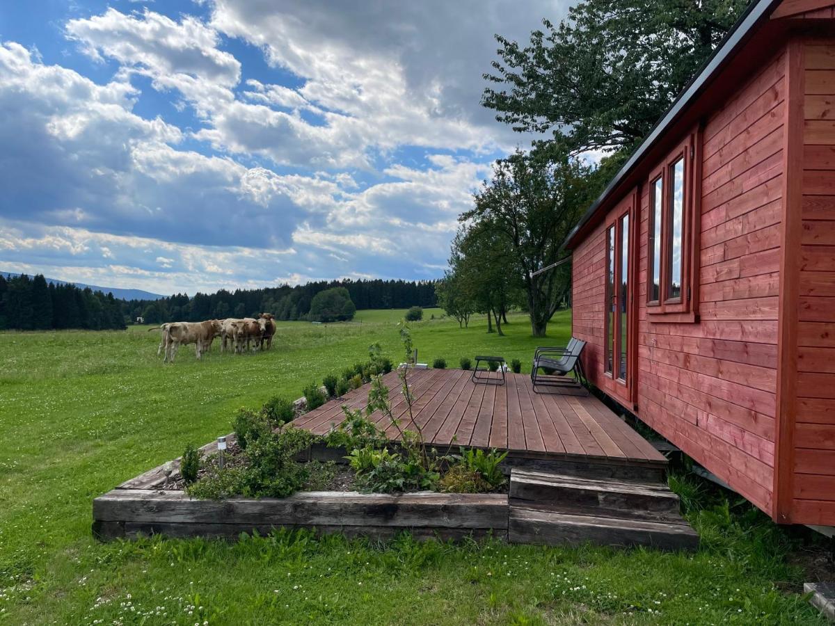Farma Nahlov Apartment Frymburk Bagian luar foto