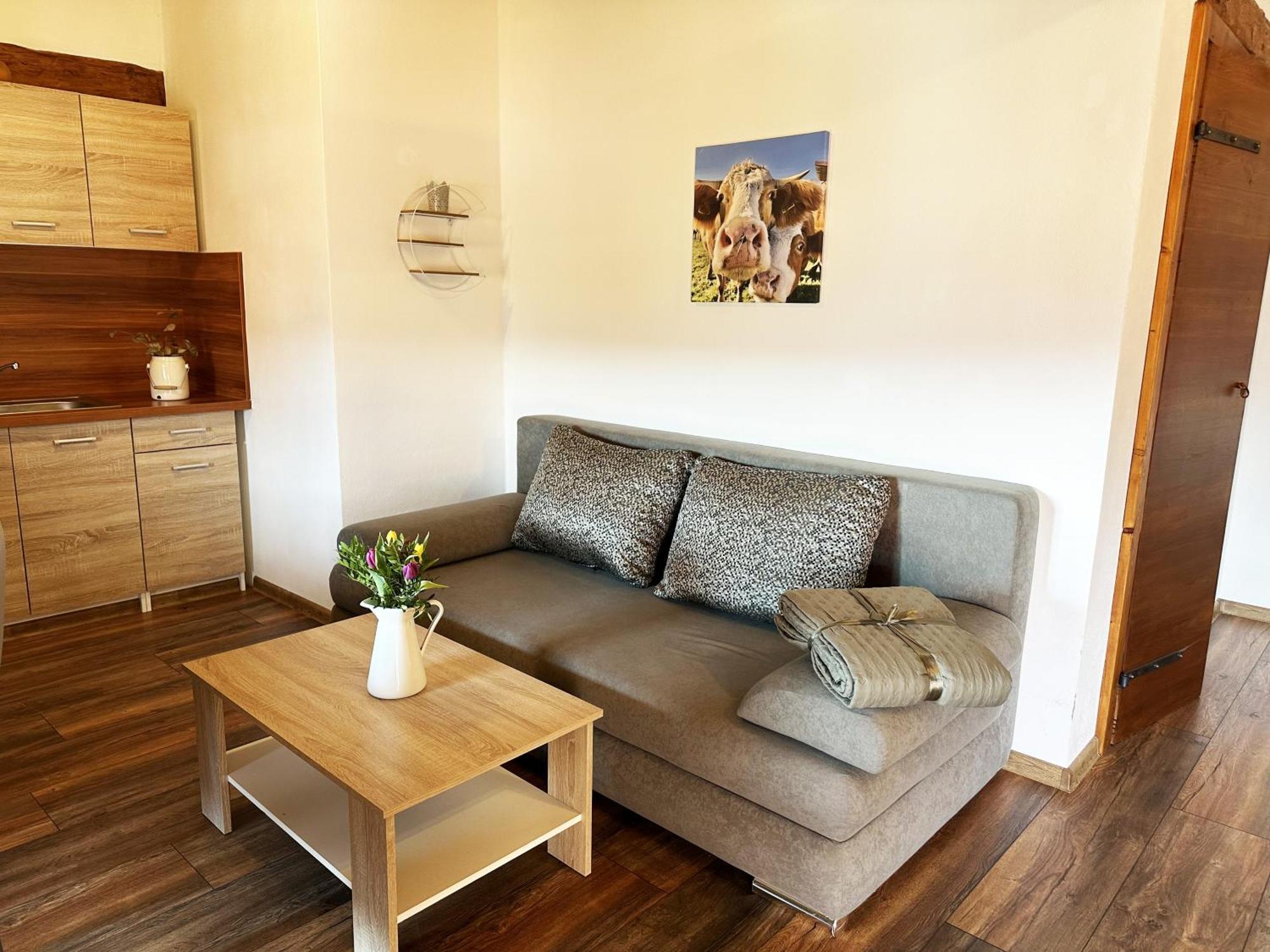 Farma Nahlov Apartment Frymburk Bagian luar foto
